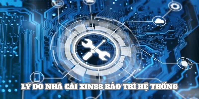 Giải thích về quy trình bảo dưỡng hệ thống dịch vụ tại nhà cái