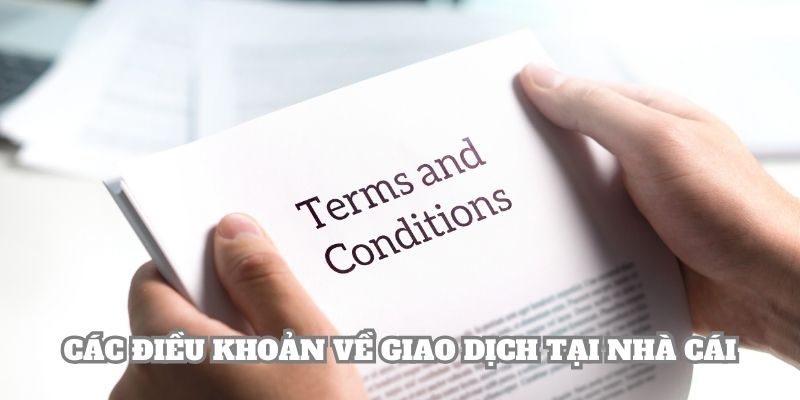 Chính sách điều khoản điều kiện về giao dịch