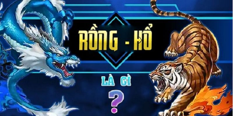 Rồng Hổ là gì