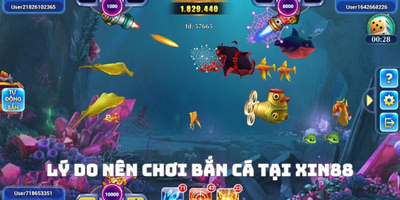 Vì sao nên chơi top game bắn cá 2025 tại Xin88
